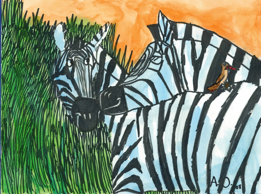 drawing of zebras
