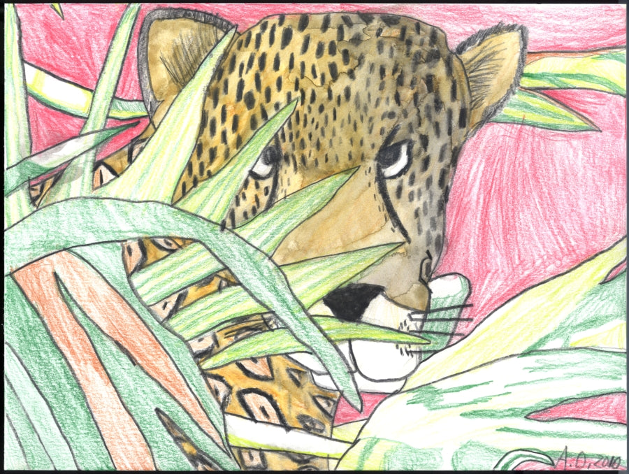 leopard hiding behind plant