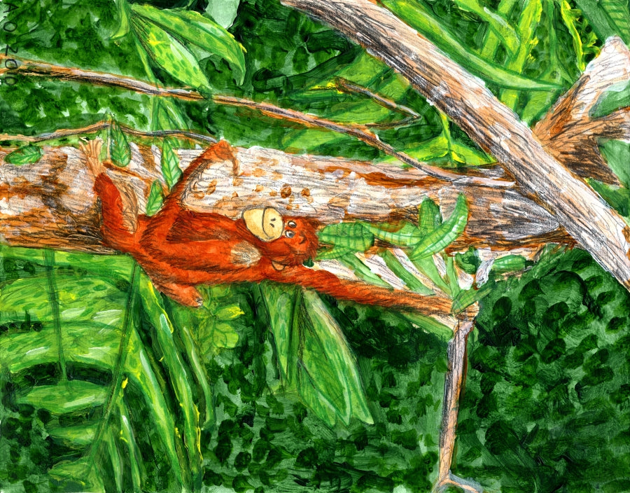 orangutan in a tree