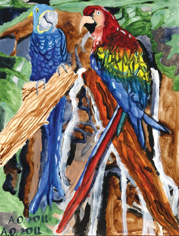 two parrots in a tree