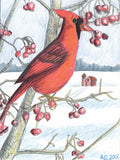cardinal in the snow