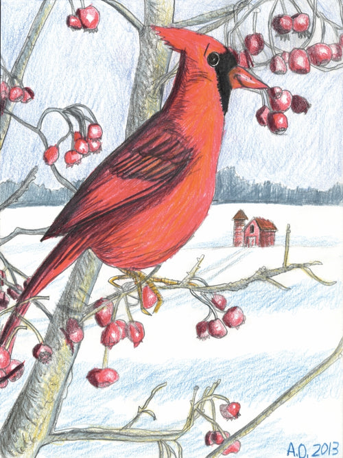 cardinal in the snow