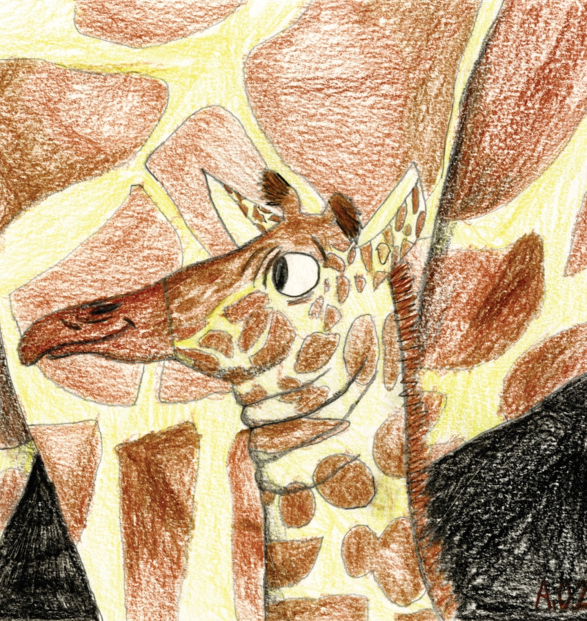 Baby Giraffe