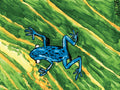 blue frog drawing