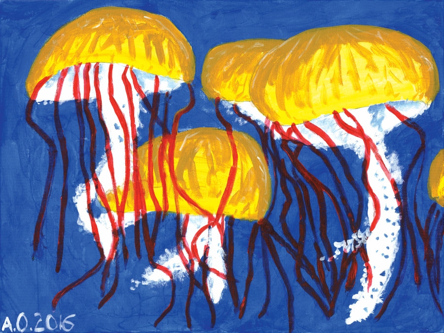 Jellyfish drawing