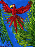 red parrot flying