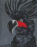 black cocjkatoo drawing