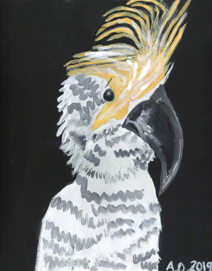 white cockatoo drawing