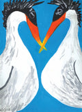 crested terns drawing