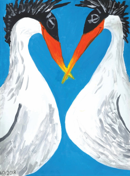 crested terns drawing
