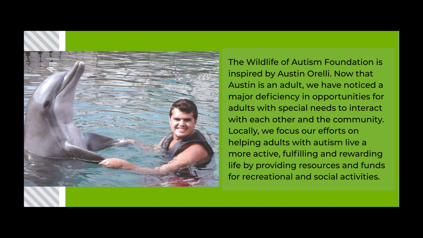 Austin Orelli swimming with dolphin | the wildlife of autism