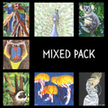 mixed pack of postcards of austins drawings